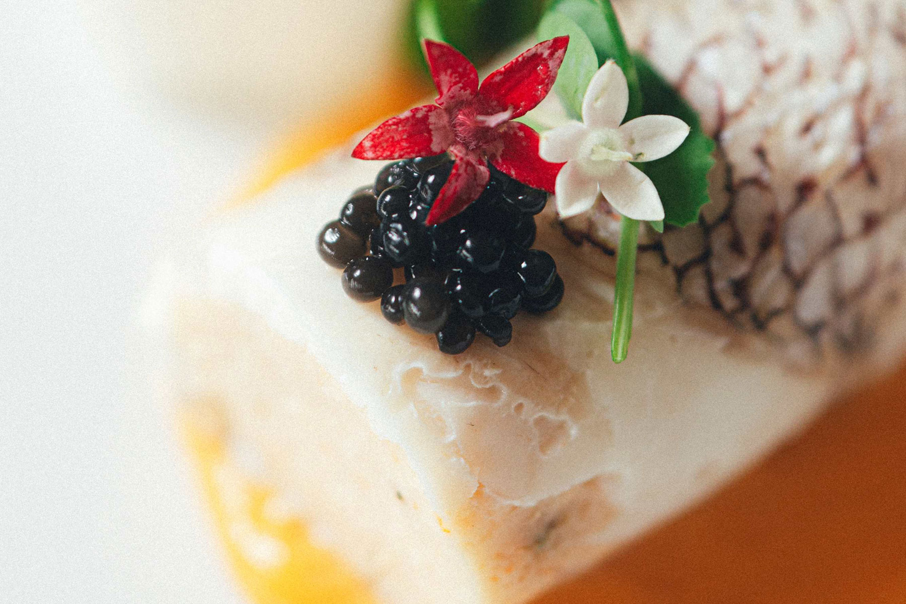 クリスマスランチ 04